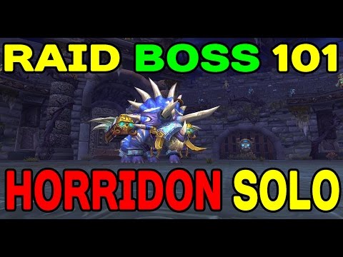 WoW Raid Boss 101: HORRIDON SOLO !!