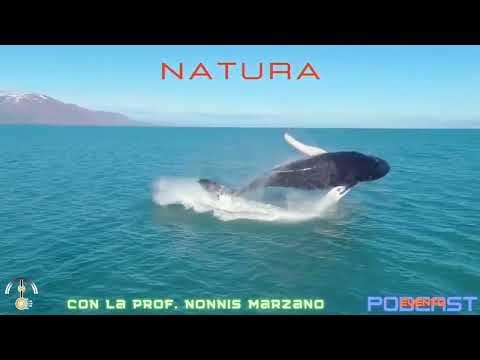 TEASER: L'Universo che osserva se stesso. Che cos'è la Natura con la prof. Nonnis Marzano