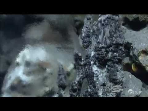 Video blog: Neues vom Peildeck (5) - Aufregende Entdeckungen