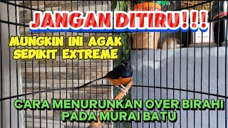Download lagu CARA MENURUNKAN OVER BIRAHI PADA MURAI BATU mp3