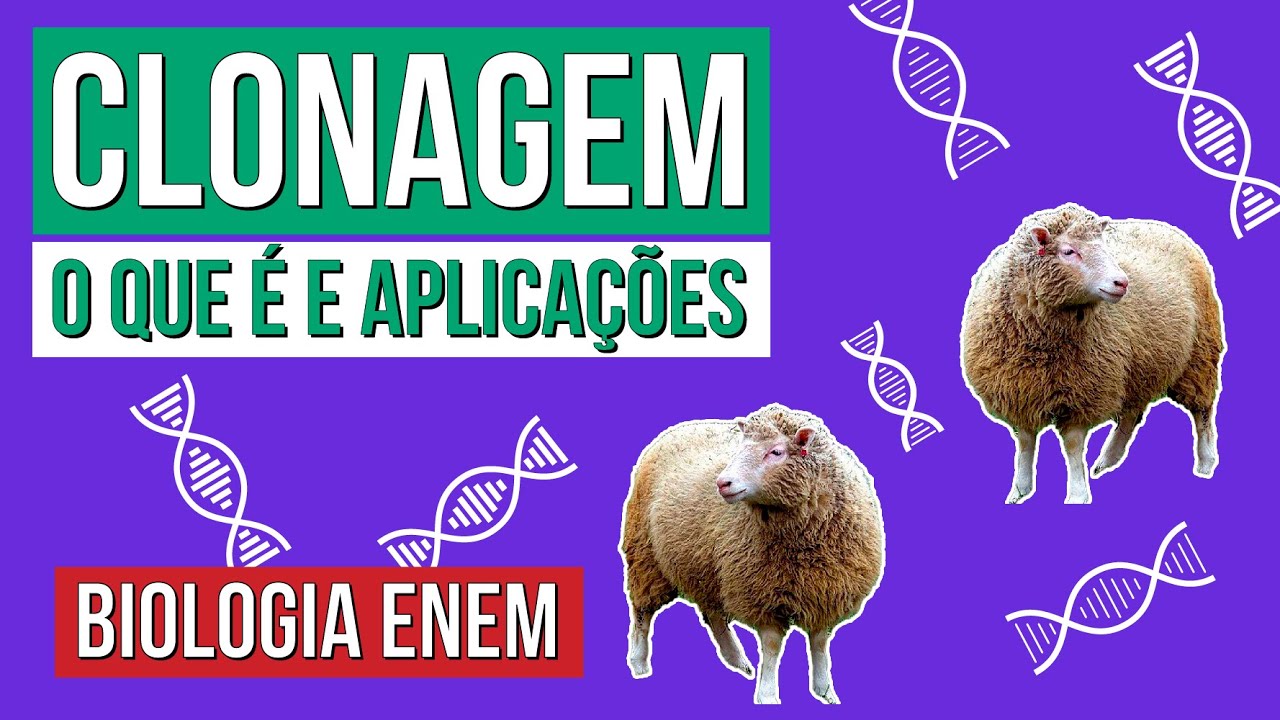 CLONAGEM: o que é e aplicações | Resumo de Biologia para o Enem | Cláudia de Souza Aguiar