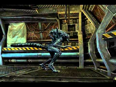 AVP Evolution | Launch Trailer