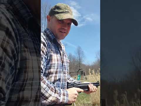 Crosman 1377 At 50 Yards!