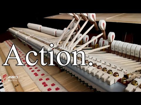How does a piano action work? Anatomy of the Piano Episode 1