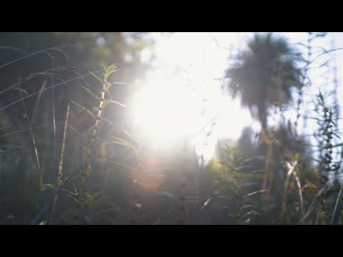 Royal Botanic Gardens Victoria - Melbourne Gardens Tours