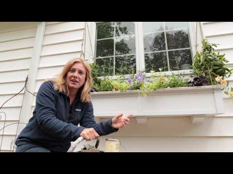 download lagu mp3 mp4 Windowbox Gardener, download lagu Windowbox Gardener gratis, unduh video klip Windowbox Gardener