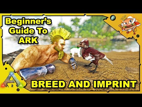 How to Get Started in ARK - A Beginners Guide - Breeding For Dummies - Ark: Survival Evolved [S4E18]
