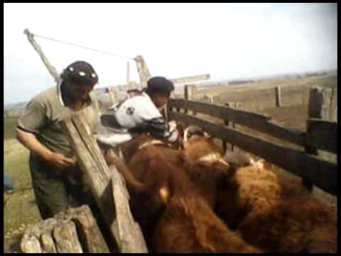 EL TROPEZÓN / ABROJAL(uruguay)