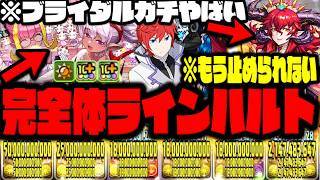 【ブライダル】激ヤバ新キャラ入りの『完全体ラインハルト』がやばすぎる可能性があるので大調査WWWWWWW【ダックス】【パズドラ実況】
