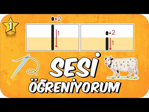 İ Sesi Öğretimi 🧶 Okunuşu ve Yazılışı 🐄 1.Sınıf #2025