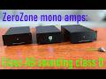 ZeroZone TPA3255 Separate Mono Speaker Amplifier Set Surprise Surprise