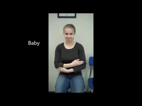 Level 1 Unit 5 Vocabulary