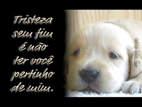 Cheio De Desejo video