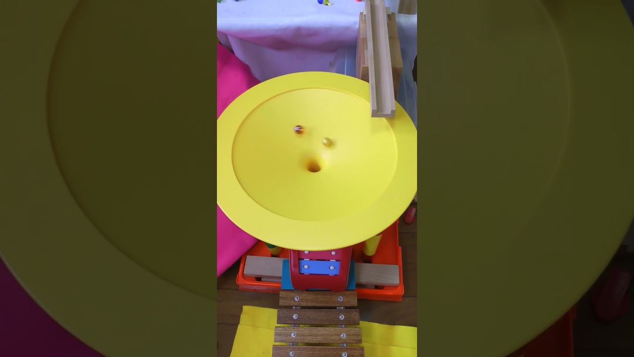 ☆Marble Run ASMR 2026-4/2 Wooden ramp 木製スロープ クアドリラ HABAラージサークル#marblesrace#marblerace#marblerun