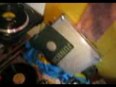 Young Alex Viola (C2007)