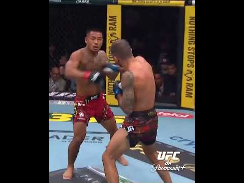 UFC video artwork