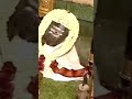 Swamy Sathuragiri Sundara Maha Linga Dharisanam Sathuragiri Temple Om Namah Shivaya