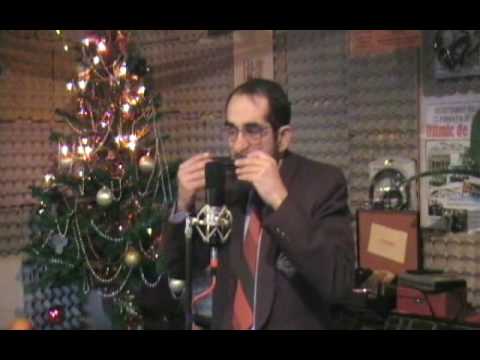 Harmonica Nelu Stefan - Doru' de tara (totalsound)