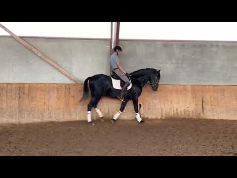 Pegaso FS II primeros entrenamientos montado