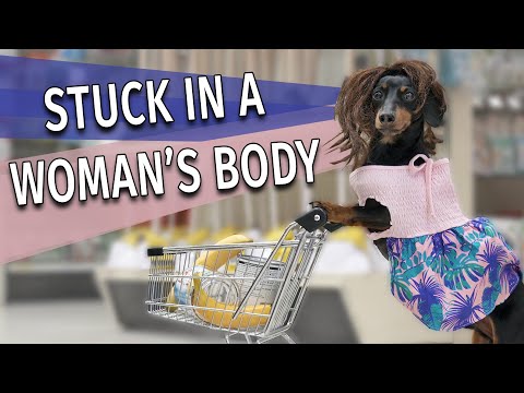 Ep 27: Dog Gets Stuck in his Mum's Body! — (Funny Body Swap Video)