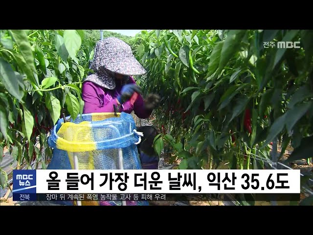올 들어 가장 더운 날씨, 익산 35.6도