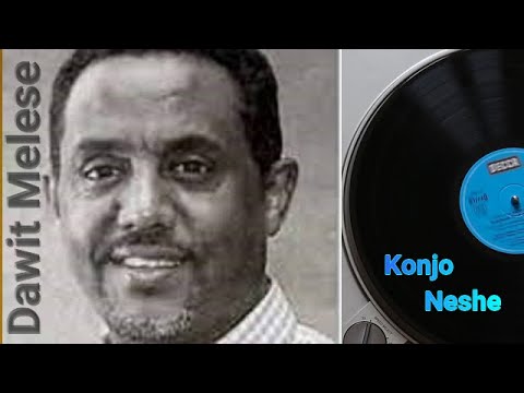 ቆንጆ ነሽ, ዳዊት መለሰ, Dawit Melese, Konjo Neshe, New Ethiopian Music, 2022