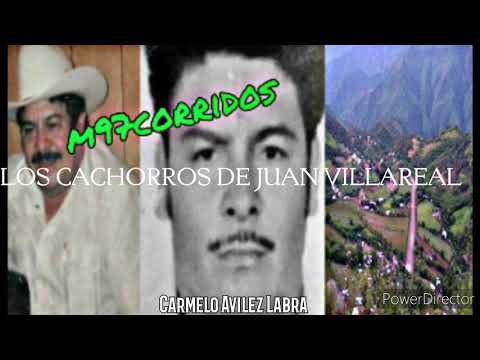 Los Cachorros de Juan Villarreal - Las Liebres de Chihuahua🌲🔥
