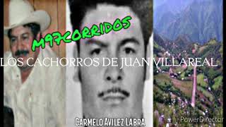 Los Cachorros de Juan Villarreal - Las Liebres de Chihuahua🌲🔥