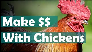 How to make money with chickens in your backyard