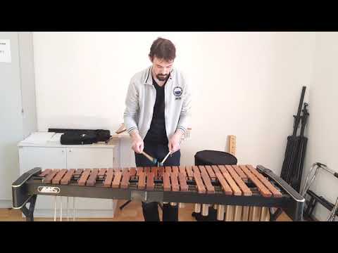Practicing xylophone #5 - N. J. Živković - Pfeiferl Hans