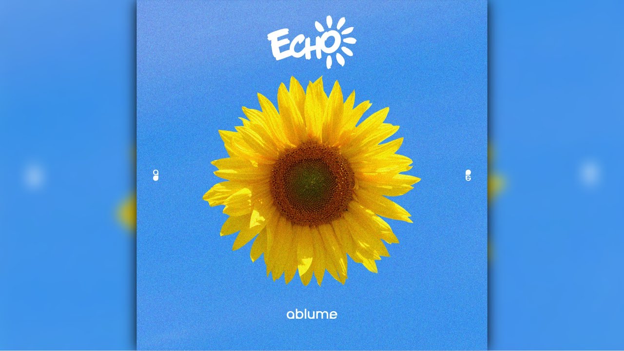 ablume - echo (inverted acapella)