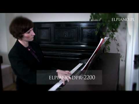 Katarzyna Łabuś - Porównanie Modeli Elpiano