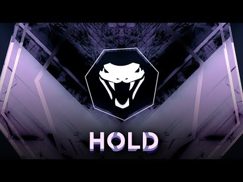 Viper - HOLD