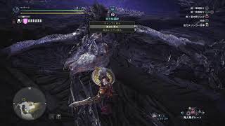 【MHWI】 ソロ練習#4