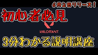 【VALORANT】初心者必見！忙しい人向けの簡単説明動画【ヴァロラント】