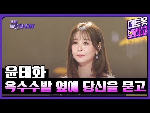 윤태화, 옥수수밭 옆에 당신을 묻고 (원곡:정의송) | 더 트롯쇼 250428