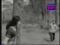 Vellichilankayaninjumkondoru Pennu Kaattuthulasi 1965