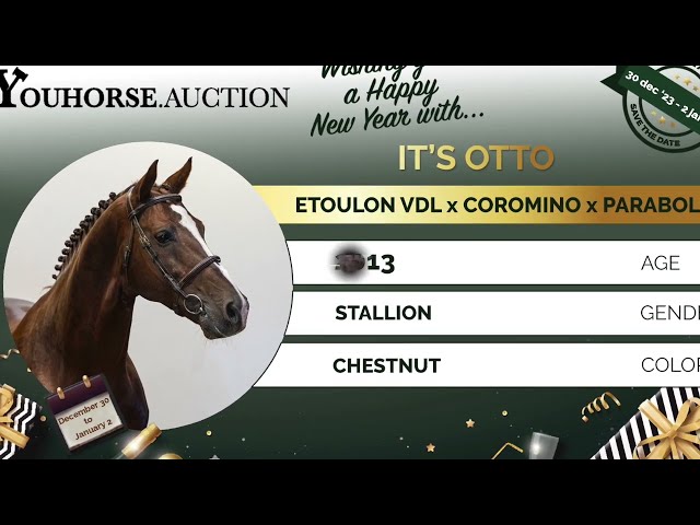 It's Otto x Baloubet du Rouet 4yo