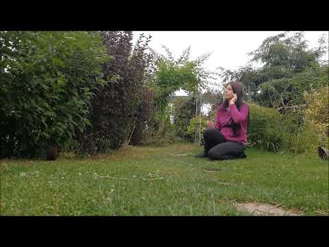 Eddie als Flitze Feuerzahn - Sciurus Vulgaris - Squirrel