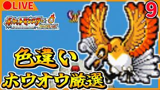 🔴【ポケモンFRLG】10801回目 色違いホウオウ厳選~【ポケットモンスター ファイアレッド】