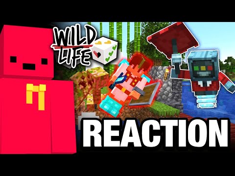 Wolfeei reacts to Wild Life Smallishbeans POV (Ep.5)