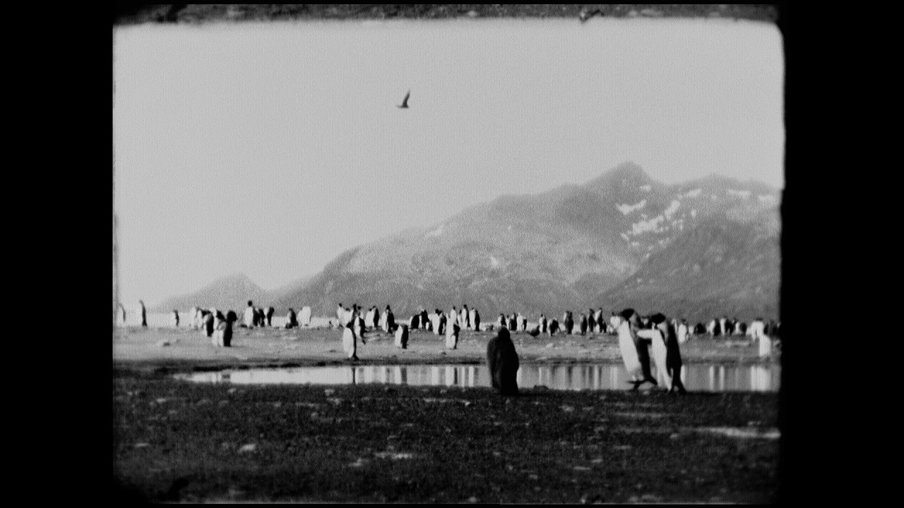 End of Summer (2014) Dir Jóhann Jóhannsson