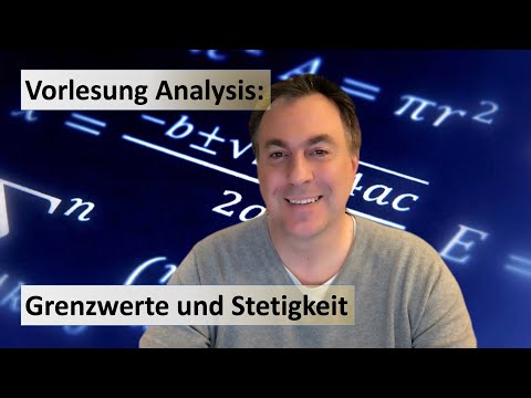 Vorlesung Analysis: Grenzwerte und Stetigkeit