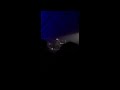 Peter Cincotti - 2018-12-18 - Piano Solo - Come Live Your Life With Me | He's Watching - Foggia