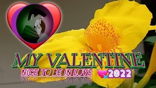 My Valentine ❤🦋🌻(tagalog version)By:Roselle Nava-Lyrics 🌻⚘💚 Happy Valentines Day Song