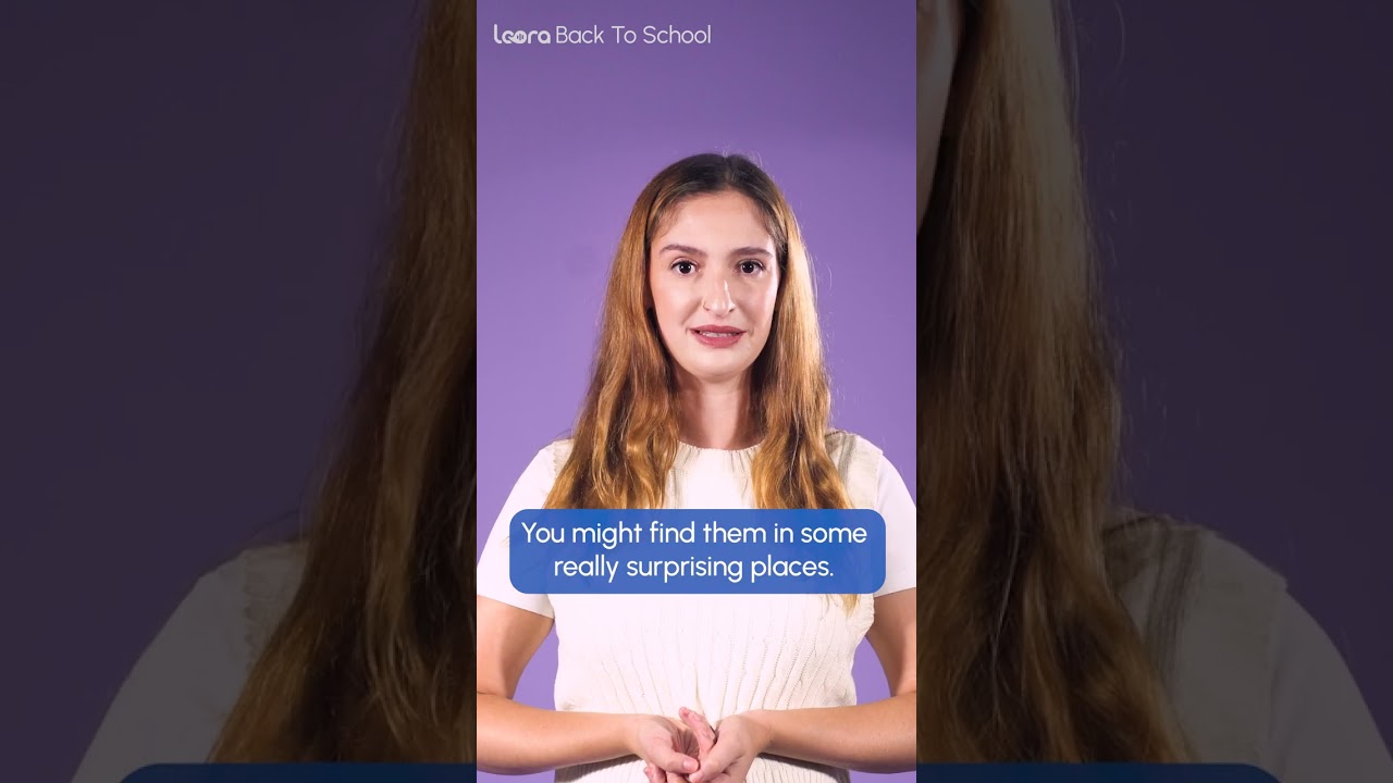 Loora Back To School Tips - Scholarships and Grants