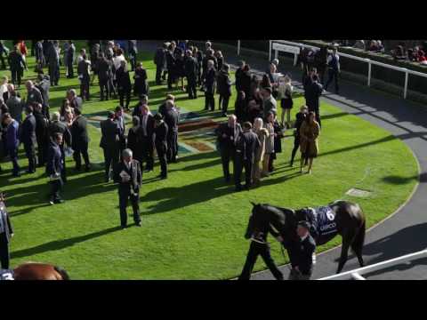 #ChampionsDay The Grand Finale to the flat season