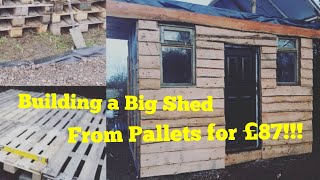 Build a BIG SHED from pallets for £87 (gym, office, man cave, summer house, games room, bar)
