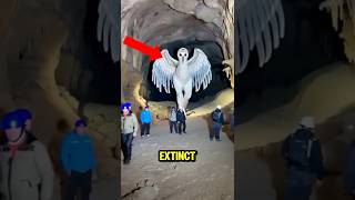 Download lagu TOP 5 SCARIEST EXTINCT ANIMALS EVER CAUGHT ON CAMERA 🤔😨 mp3 Download lagu TOP 5 SCARIEST EXTINCT ANIMALS EVER CAUGHT ON CAMERA 🤔😨 mp3