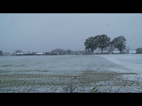 Video Thumbnail: Snowfall covers fields in France's Brittany | AFP